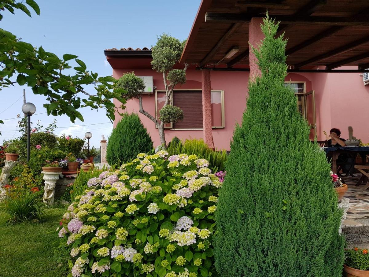 B&B La Sirenetta Diamante Eksteriør bilde